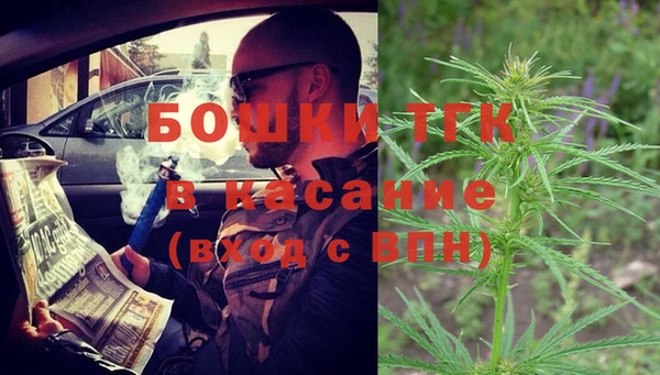 ешки Новозыбков